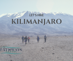 Group of friends reaching Mount Kilimanjaro summit
